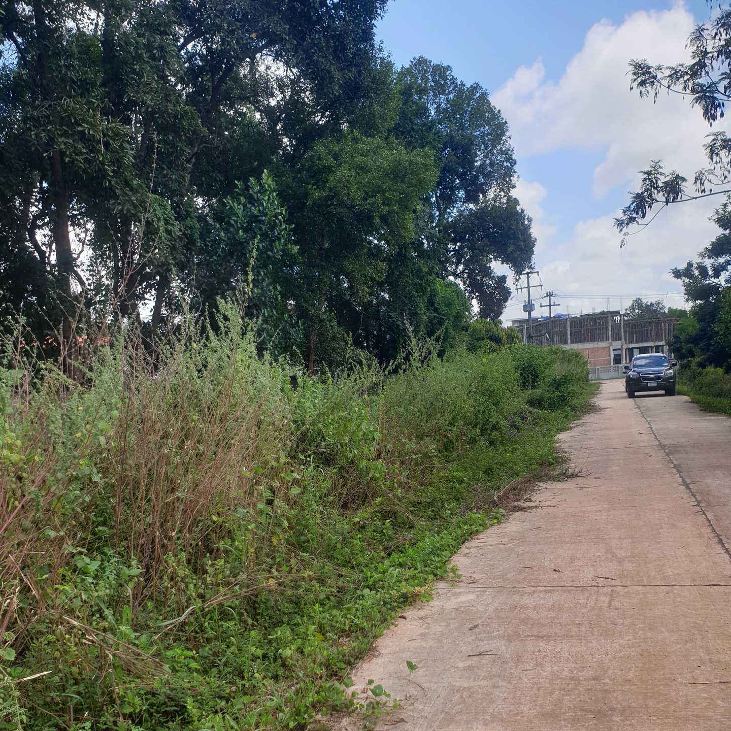 result_20251008_101447