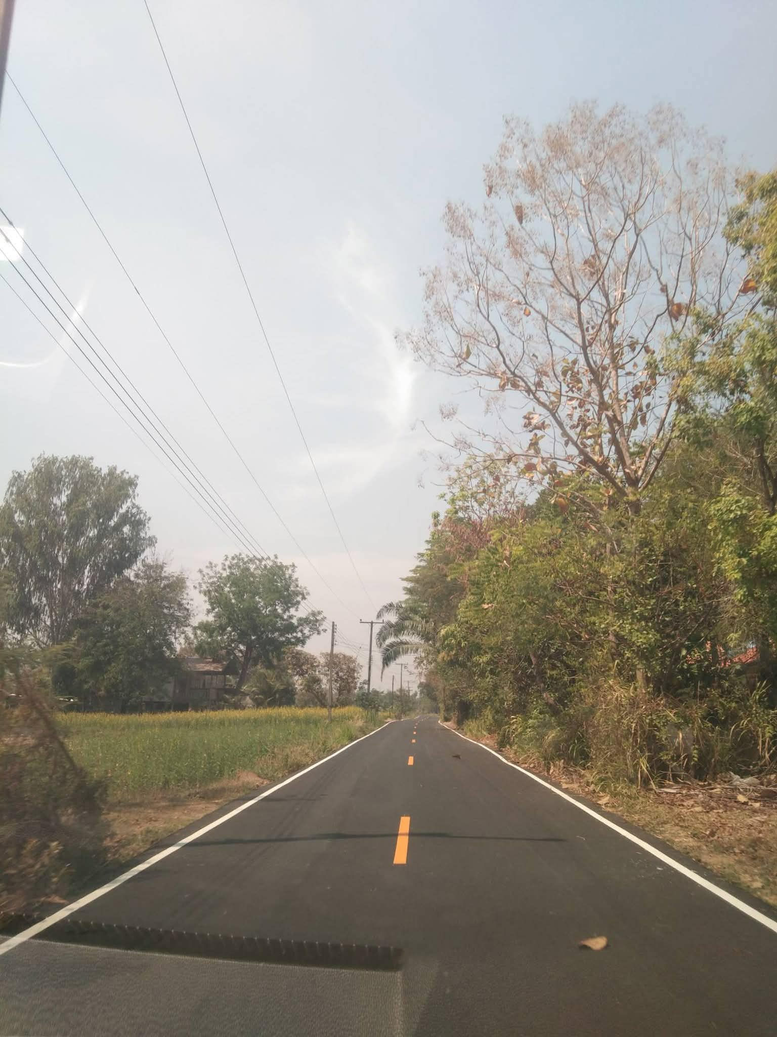 93916ee2-14cd-4141-a475-6ee281ad4f99