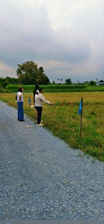 ที่ดิน – area 0 RAI 0 ngan 100 ตร.ว. 390000 thb ไม่ไกลจาก องค์พระปฐมเจดีย์ สวนป่าน เซเว่น ซีเจ โอกาสเดียวห้ามพลาด นครปฐม