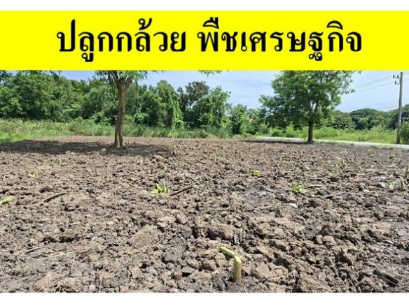ขายที่ดินเปล่าแปลงมุม ถมแล้ว ซอยเทคโนโลยีแหลมทอง ทำเลศักยภาพ อำเภอเมืองปทุมธานี