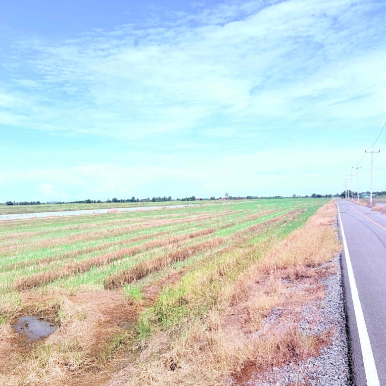 ขายที่ดินเปล่า ขนาดใหญ่ ราคาดี ทำเลบางเลน จ.นครปฐม