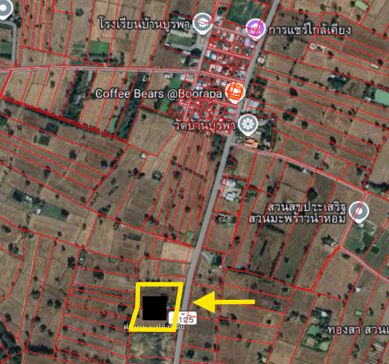 ขายที่ดิน 4ไร่ ติดถนนลาดยาง พิกัด อ.กันทรารมย์ จ.ศรีสะเกษ