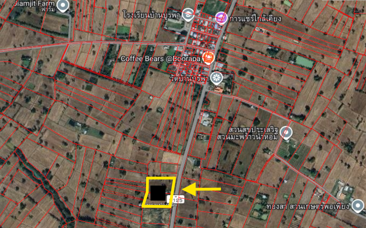 ขายที่ดิน 4ไร่ ติดถนนลาดยาง พิกัด อ.กันทรารมย์ จ.ศรีสะเกษ